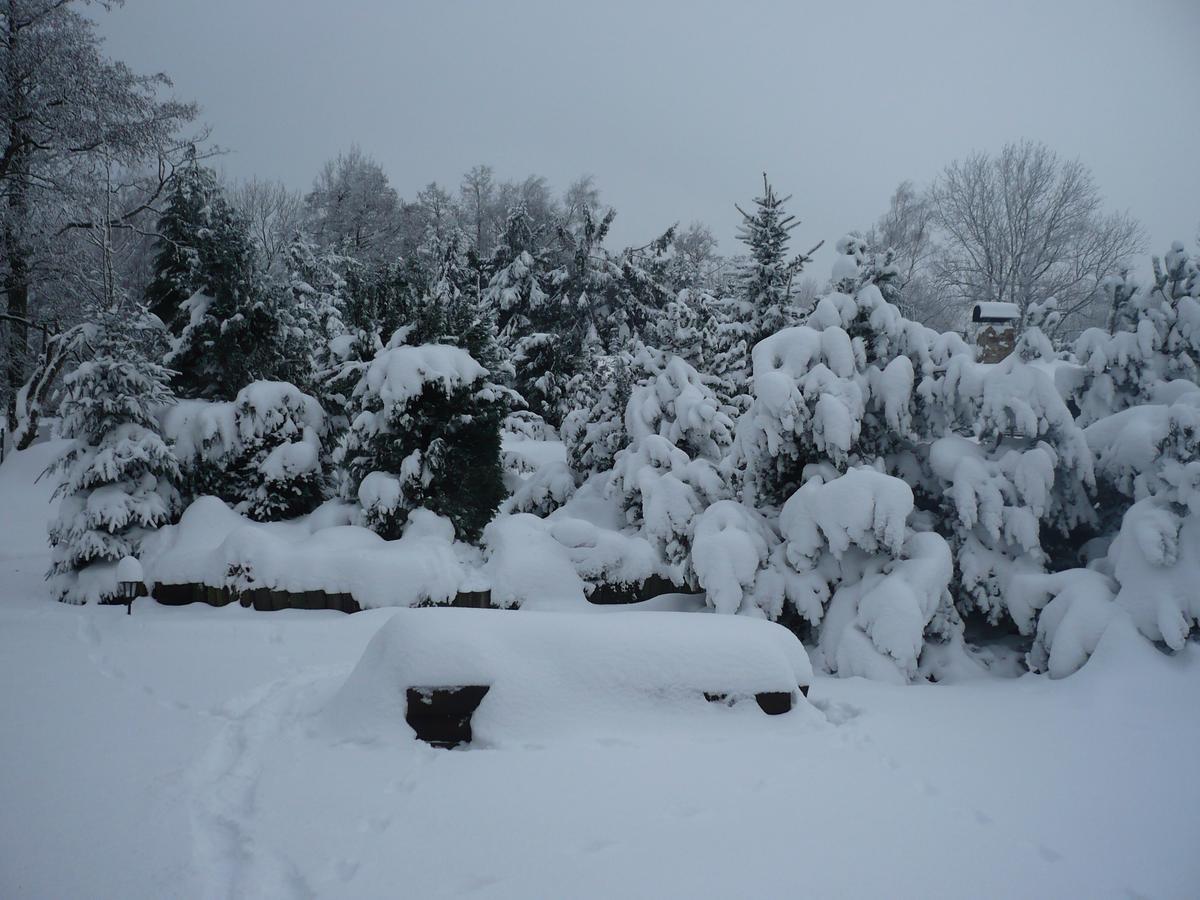 U Myslivce Villa Kamenicky Senov ภายนอก รูปภาพ